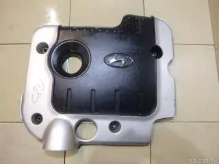 2924027800 Hyundai-Kia Накладка декоративная Hyundai Santa FE 4 (TM) restailing Арт E21741400, вид 1