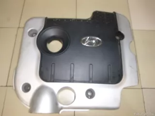 2924027800 Hyundai-Kia Накладка декоративная Hyundai Santa FE 4 (TM) restailing Арт E21742857, вид 1