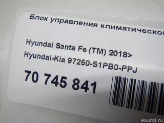97250S1PB0PPJ Hyundai-Kia Блок управления климатической установкой Hyundai Santa FE 4 (TM) restailing Арт E70745841, вид 14