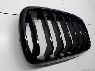  Решетка радиатора BMW X5 F15 Арт E31535349, вид 3