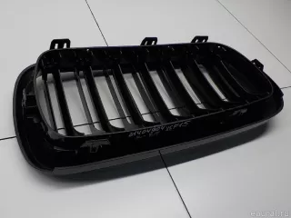  Решетка радиатора BMW X5 F15 Арт E31538559, вид 7