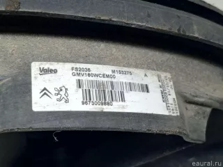 1253T5 Citroen-Peugeot Вентилятор радиатора Peugeot Partner 3 Арт E31566809, вид 3