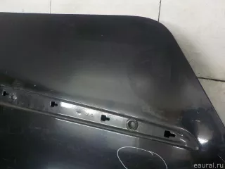 821005158R Renault Дверь задняя правая Renault Scenic 2 Арт E31566999, вид 12