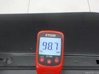 821005158R Renault Дверь задняя правая Renault Scenic 2 Арт E31566999, вид 14