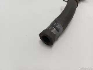 254202B250 Hyundai-Kia Шланг системы охлаждения Hyundai Santa FE 4 (TM) restailing Арт E31584230, вид 2
