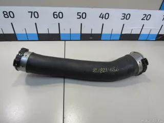 13717597591 BMW Патрубок интеркулера BMW X4 G02 Арт E80821486, вид 1