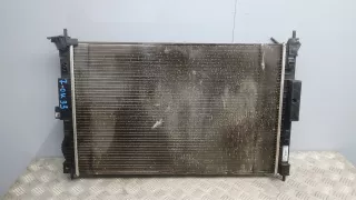 9809141780 Радиатор системы охлаждения Peugeot 3008 2 Арт 7OK33KA01, вид 1