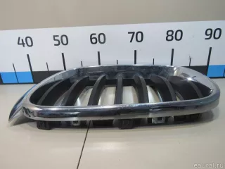 51117338571 BMW Решетка радиатора BMW X4 F26 Арт E80866115, вид 2
