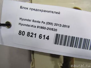 919502W520 Hyundai-Kia Блок предохранителей Hyundai Santa FE 4 (TM) restailing Арт E80923623, вид 7