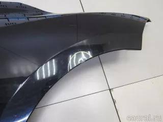 631005149R Renault Крыло переднее правое Renault Megane 3 Арт E80933225, вид 4