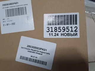 280305003PK01 Заглушка решетки радиатора нижняя правая Voyah Free Арт Z342576, вид 4