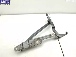  Петля крышки (двери) багажника Audi A8 D2 (S8) Арт 54800322