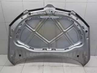 5E0823031 VAG Капот Skoda Octavia A8 Арт E31624957, вид 8
