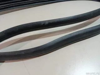 769234277R Renault Уплотнитель двери Renault Logan 2 Арт E23625691, вид 4