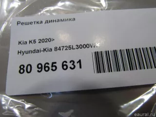 84725L3000WK Hyundai-Kia Решетка динамика Kia K5 3 Арт E80965631, вид 4