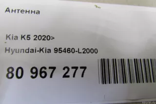 95460L2000 Hyundai-Kia Антенна Kia K5 3 Арт E80967277, вид 6