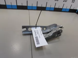 1Z0823302C VAG Петля капота правая Skoda Octavia A8 Арт E80976376, вид 4