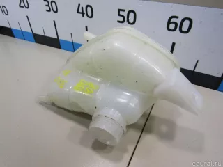 217114EA0A Nissan Бачок расширительный Nissan Qashqai 2 restailing Арт E80990708, вид 2