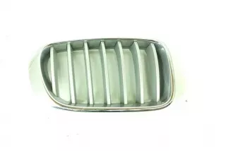 7210725, 7237422 , art12308509 Решетка радиатора BMW X3 F25 Арт 12308509, вид 1