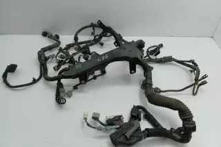 8212153230C , art13207185 Проводка двигателя Lexus IS 2 Арт 13207185