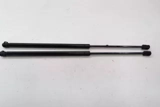 GS601123516, 4102020 , art13250919 Амортизатор капота Renault Scenic 1 Арт 13250919, вид 5