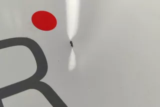 2465236, KK21-V24603-AC , art14691770 Дверь сдвижная левая Ford Transit Custom Арт 14691770, вид 6