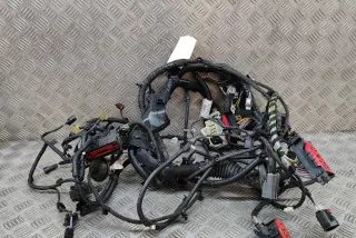 N1TT-14290-PPE, M1TT-2B512-CBB , art12965789 Проводка двигателя Ford Puma 1 Арт 12965789, вид 5