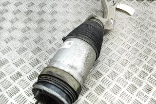 1027361-00-G , art12340340 Амортизатор передний левый Tesla model X Арт 12340340, вид 4