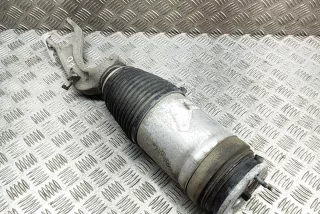 1027361-00-G , art12340342 Амортизатор передний правый Tesla model X Арт 12340342, вид 2