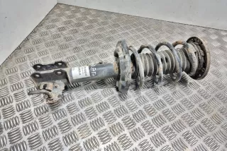 312602, 824903014919 , art14599030 Амортизатор передний правый Opel Vectra C  Арт 14599030, вид 1