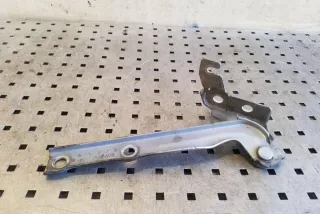 5N0823301A , art12701569 Петля капота Volkswagen Tiguan 1 Арт 12701569, вид 3