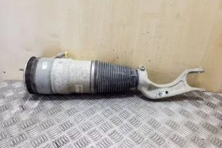 103060800C , art12738138 Амортизатор задний левый Tesla model S Арт 12738138, вид 3