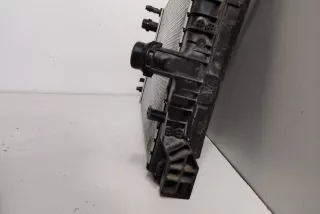 8576506, 8474824, 8590047 , art14694827 Радиатор (основной) BMW 7 G11/G12 Арт 14694827, вид 8