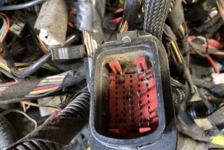 60655714, 60659403, 60681775 , art13662825 Проводка двигателя Alfa Romeo 166 Арт 13662825, вид 9