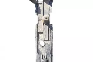 6m2111779aj, 0701 , art13498677 Защита двигателя Ford Mondeo 1 Арт 13498677, вид 2