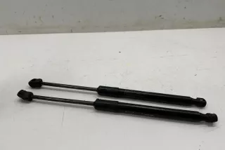 164598900A , art13112854 Амортизатор капота Tesla model 3 Арт 13112854, вид 2