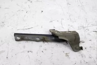 5N0823302A , art14095490 Петля капота Volkswagen Tiguan 1 Арт 14095490, вид 2