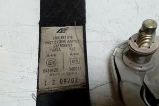 7M3857816 , art14068684 Ремень безопасности задний правый Volkswagen Sharan 1 restailing Арт 14068684, вид 3