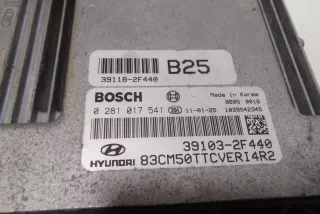 0281017541 , art13911594 Блок управления двигателем Hyundai Santa FE 2 (CM) Арт 13911594, вид 5