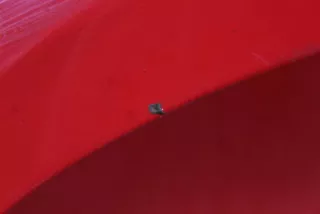 TOYOTA Крыло переднее левое Toyota Yaris 2 Арт AL16156764519, вид 2