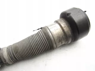 A2213200538 Амортизатор передний правый Mercedes S W221 Арт AL16231514096, вид 2