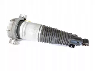 7L8616020G Амортизатор задний правый Audi Q7 4L Арт AL11346241076, вид 1