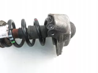 4F0413031AN Амортизатор передний правый Audi A6 C6 (S6,RS6) Арт AL16058818060, вид 3