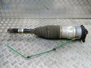 6006353-00-C Амортизатор задний левый Tesla model S Арт AL16104171667, вид 1