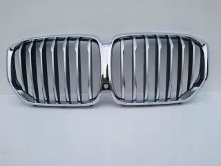 7454887 Решетка радиатора BMW X5 G05  Арт AL11098777701_2, вид 1