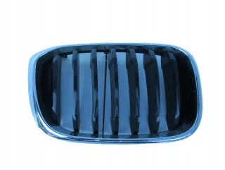 7440854 Решетка радиатора BMW X3 G01 Арт AL11899617451, вид 1