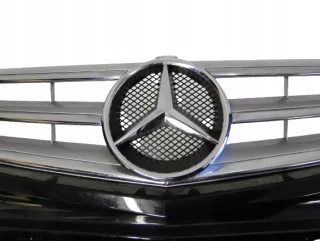 A1698801783 Решетка радиатора Mercedes A W169 Арт AL11957356386, вид 1