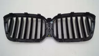 X3G01LCIATRAPA.AKCENT81 Решетка радиатора BMW X3 G01 Арт AL16566248490, вид 2