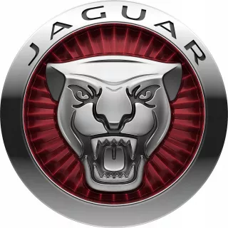 JAGUAR Решетка радиатора Jaguar XKR Арт AL16812274193, вид 2