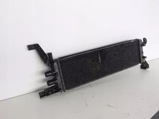 670009821 Радиатор основной Maserati Quattroporte Арт AL12194157255, вид 5